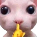 HVCBingusKitten Discord emoji