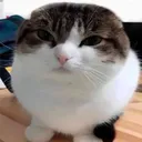 emoji_80