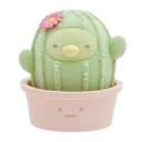 g_catus_plant