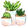 g_plantpots
