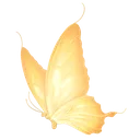 yellow001