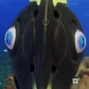 steve2