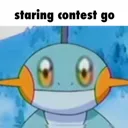 pokecomstaringcontest