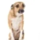 __