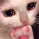 emoji_14