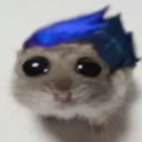 sad_hamster_yoru