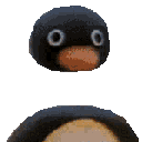 pingu_canadian Discord emoji