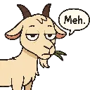 Ye_meh_goat