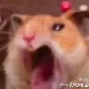 Why