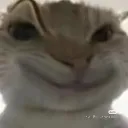 smirk