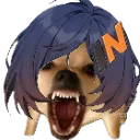 zzzdogs