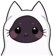 kitkat159Lick