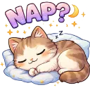 napcat