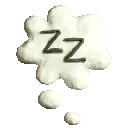 ZZ ZZ