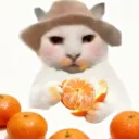 hasanyoneseenthisimage