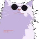 Gojo_Cat_Vibes
