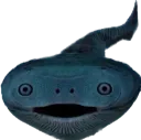 sup