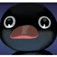 PenguinStare