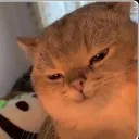 Muhehe
