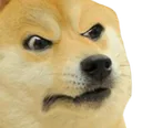 dogeAngry