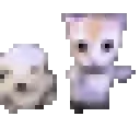 fastDansi