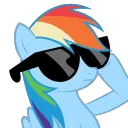 RainbowDashwearingshades2