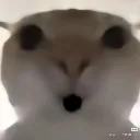 OO OO
