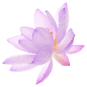 06_purpleflower Discord Emoji from 𝐼𝓂𝓅𝓊𝓁𝓈𝑒 𝟣𝟪+