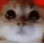 :angrikitty: :angrikitty: