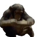 MonkeBonk