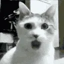 shocked