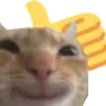 i_catthumb