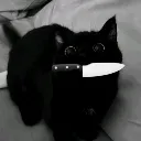 violence