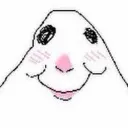 happyhamster happyhamster