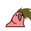 headbangingparrot