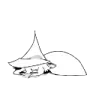 defeated