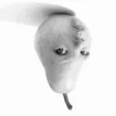 Fruitofemotionalprowess