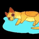 Cryim