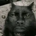 tai_naki_dada