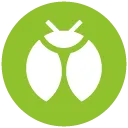 TypeInsecte TypeInsecte