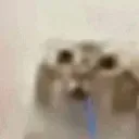 durrwuhu