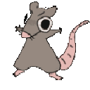 ratboi