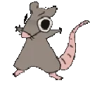 ratboi
