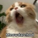 emoji_80 Discord Emoji | 𝐋𝐎𝐕𝐄 & 𝐋𝐀𝐆 ♡ ™🌷🧿 || Indian Dating • Friends • Social Hangout | Active Community