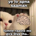 emoji_86 Discord Emoji | 𝐋𝐎𝐕𝐄 & 𝐋𝐀𝐆 ♡ ™🌷🧿 || Indian Dating • Friends • Social Hangout | Active Community