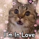 emoji_87 custom emote from 𝐋𝐎𝐕𝐄 & 𝐋𝐀𝐆 ♡ ™🌷🧿 || Indian Dating • Friends • Social Hangout | Active Community