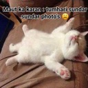 emoji_97 Discord Emoji | 𝐋𝐎𝐕𝐄 & 𝐋𝐀𝐆 ♡ ™🌷🧿 || Indian Dating • Friends • Social Hangout | Active Community