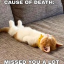 emoji_100 custom emote | 𝐋𝐎𝐕𝐄 & 𝐋𝐀𝐆 ♡ ™🌷🧿 || Indian Dating • Friends • Social Hangout | Active Community