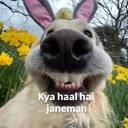 emoji_113 Discord Emoji - 𝐋𝐎𝐕𝐄 & 𝐋𝐀𝐆 ♡ ™🌷🧿 || Indian Dating • Friends • Social Hangout | Active Community