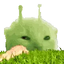 touchgrassglorp
